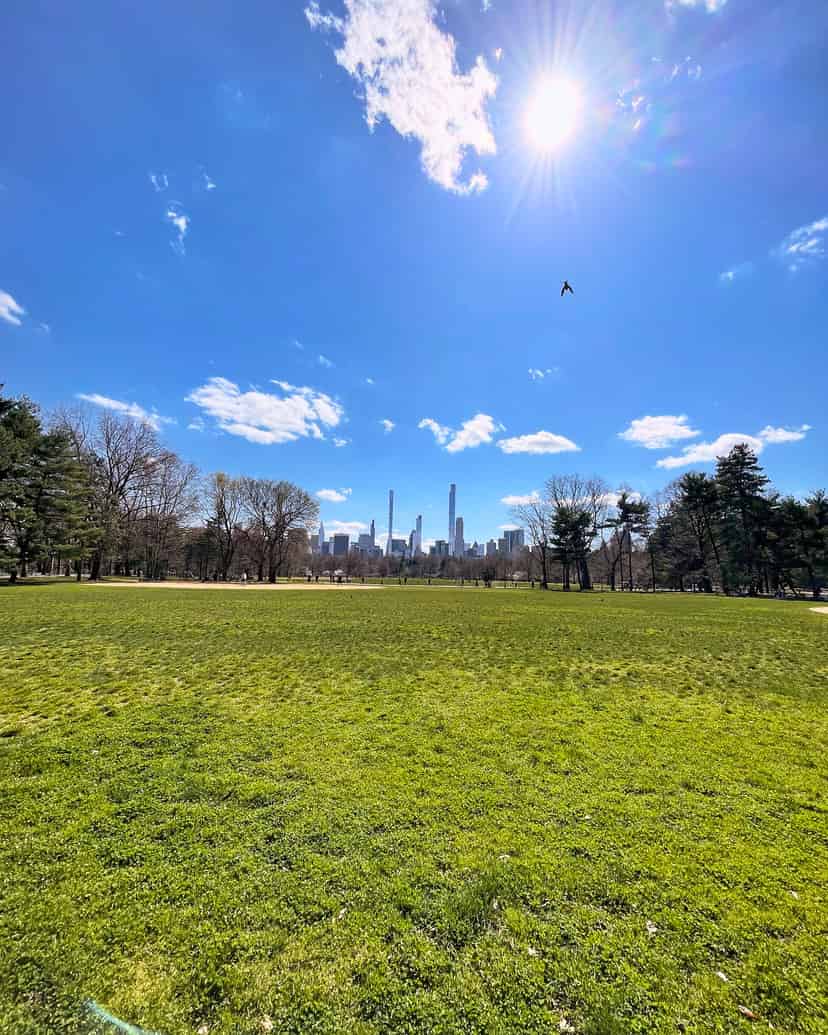 The Great Lawn, Central Park, NYC